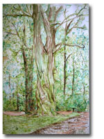 deorahtree