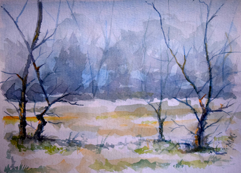 theblueforest
